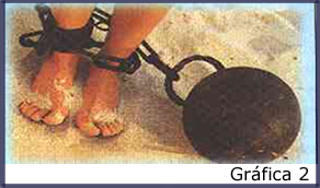 gráfica 2