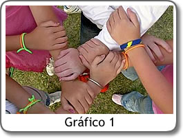 Gráfico 1
